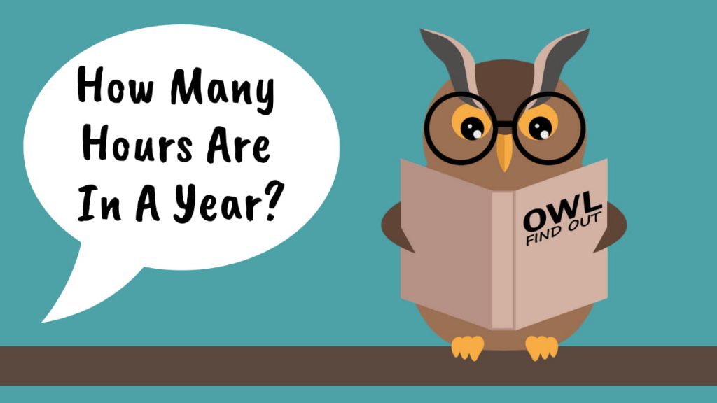 How many hours are in a year?