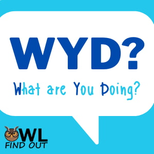 Image showing that shows WYD meaning