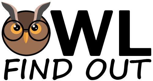 Owl Find Out