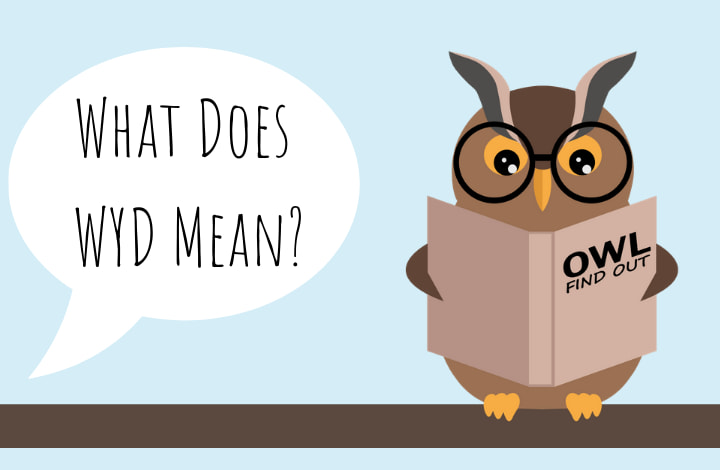 Image with Owl that says: What does wyd mean?