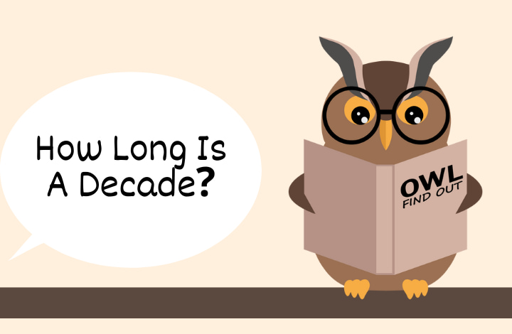 Image with Owl that asks how long is a decade