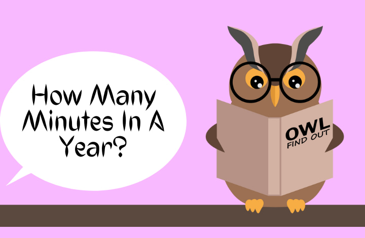 Image with Owl that asks number of minutes in a year